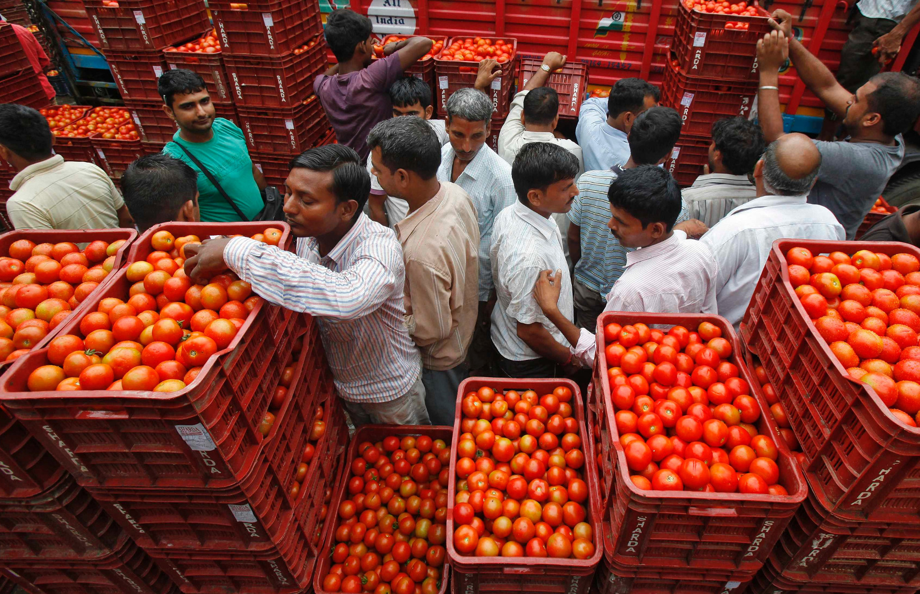 Tomato prices soar 60-70 national