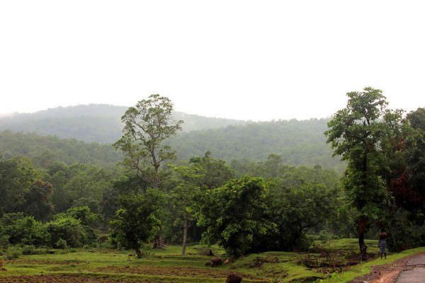 Known as the Kashmir of Odisha, this hill station is situated at an altitude of 3,000 feet above sea level in the state’s Kandhmal district. Relatively less frequented by tourists, the place is beautified by the green valleys accompanied by pine and coffee gardens. It is the only place in Odisha that is said to receive snow during winters when temperatures occasionally drop down to zero degree Celsius. Quite a few accommodation options are available and Deers Eco Home is a good option, though it is situated a few kilometers away from the town. Nearest airport – Bhubaneshwar, 291 km Nearest railway station – Berhampur, 125 km: Daringbadi, Orissa