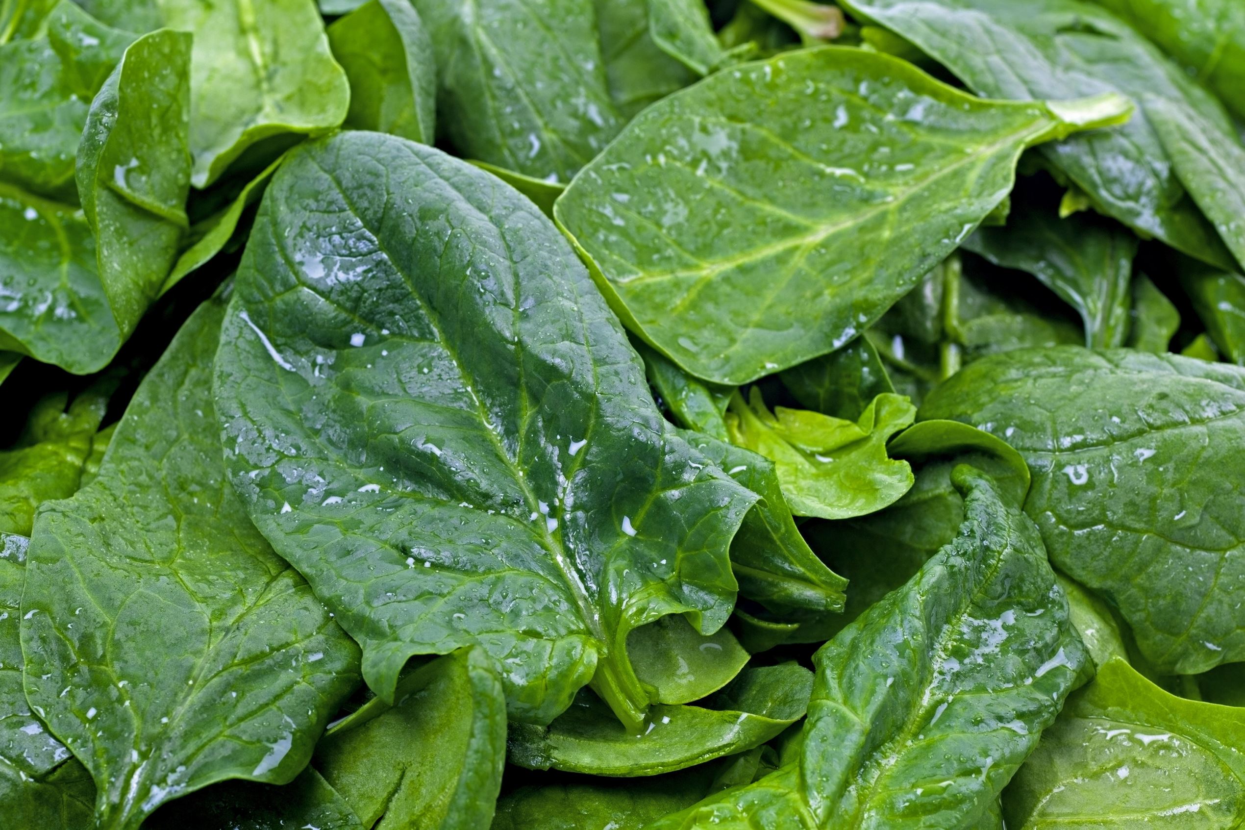 spinach your fridge that's about