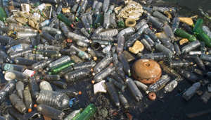 Plastic waste in ocean to increase tenfold by 2020 - Image Broker/REX Plastic waste in ocean to increase tenfold by 2020