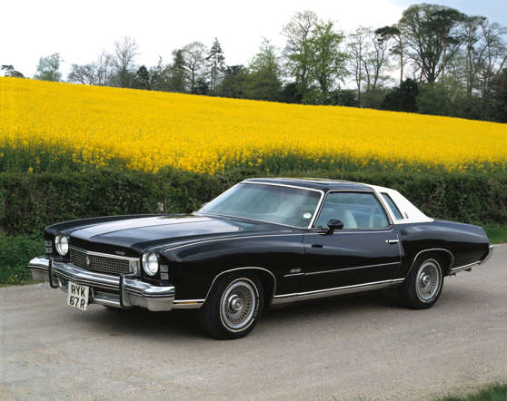 1973 Chevrolet Monte Carlo Landau