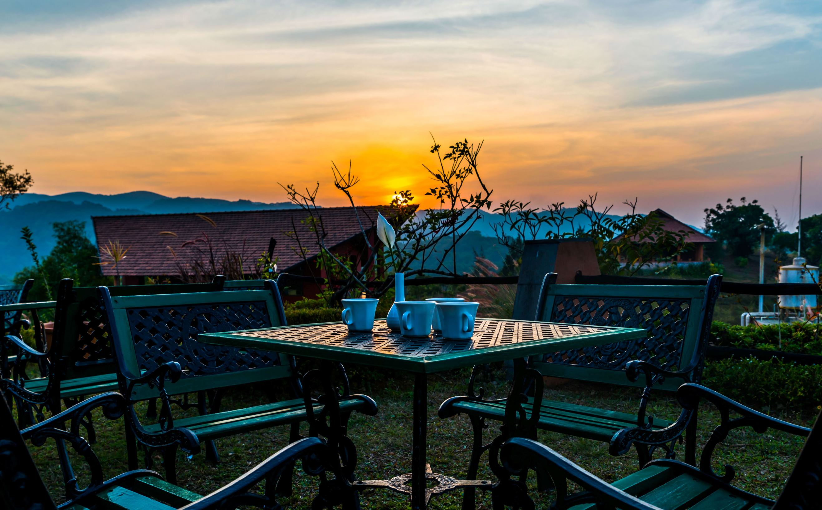 Wines, animals, green landscape: Coorg