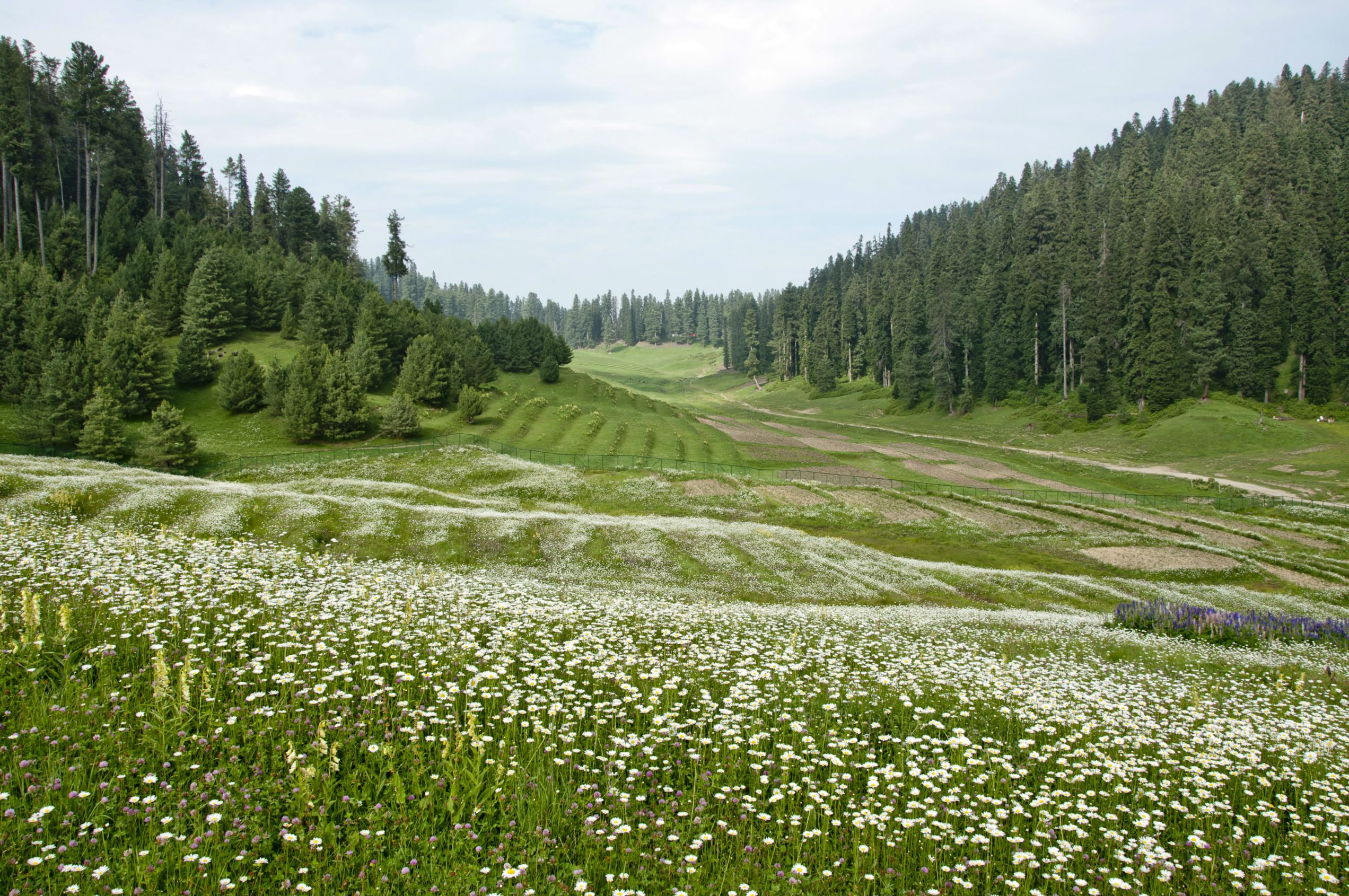 Have been these beautiful hill