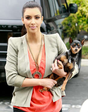 Kim Kardashian and Kris Humphries go to Petco,