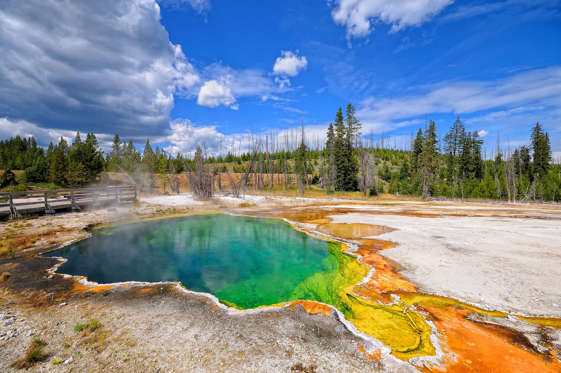 Grand Ngjyra-ngjyra Pranvera në Parkun Kombëtar Yellowstone. AAbD30g