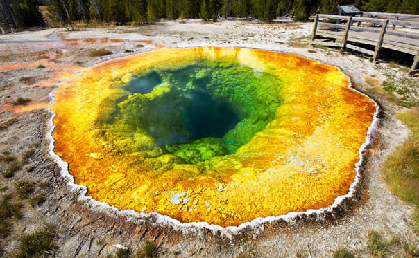 Grand Ngjyra-ngjyra Pranvera në Parkun Kombëtar Yellowstone. AAbDCn4