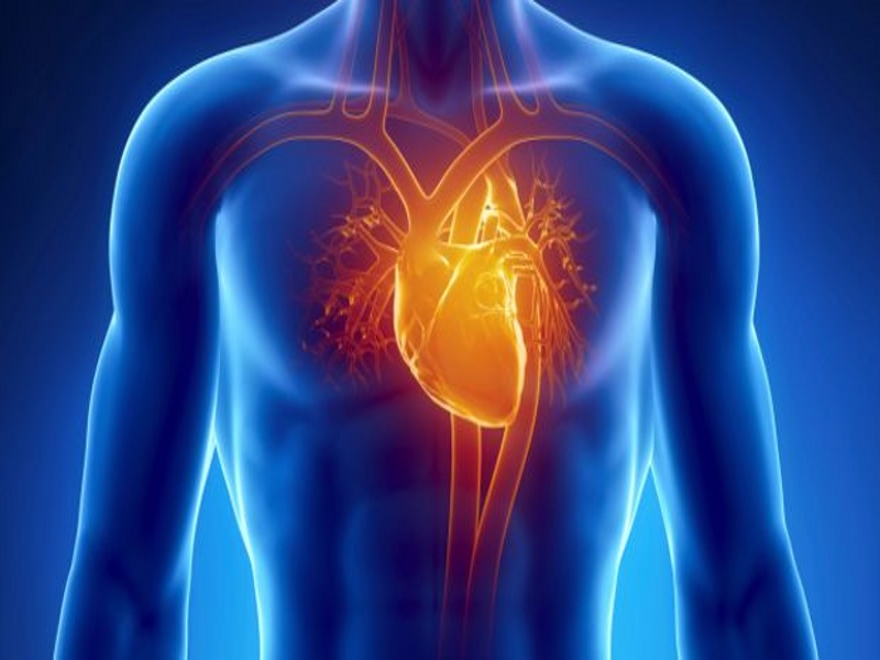 upbeat! these tips healthy heart