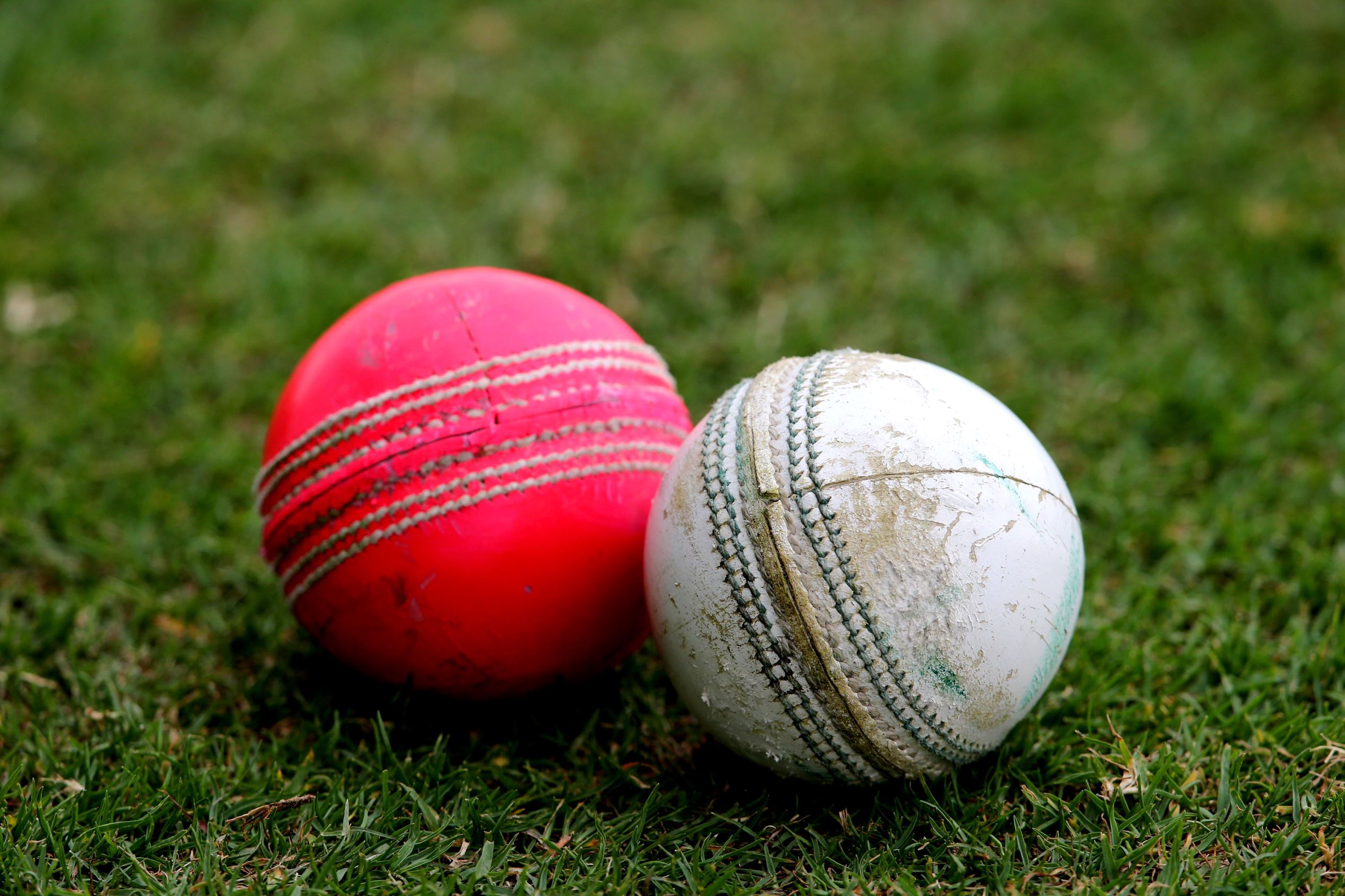Australia, Zealand play first day-night