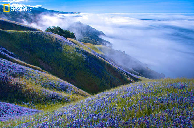 Above Big Sur - Douglas Croft, National Geographic 2014 Photo Contest