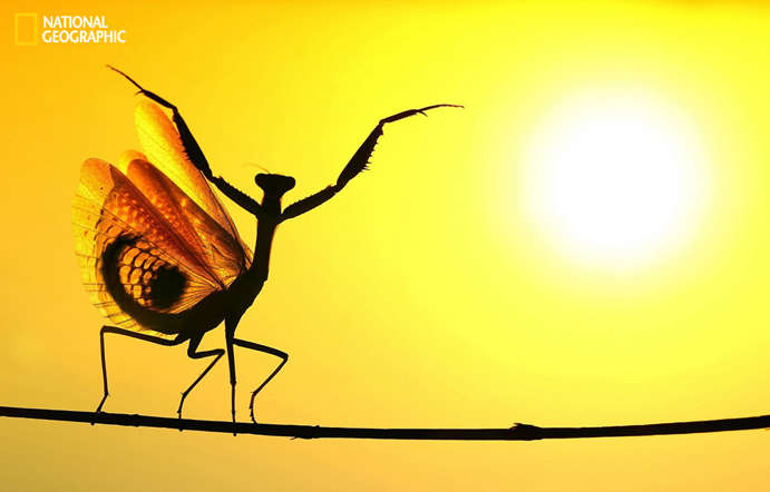Sunward - Hasan Baglar, National Geographic 2014 Photo Contest