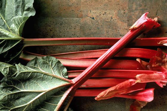 Rhubarb stalks are great in a crumble – but avoid the leaves at all costs. They contain poisonous toxins which could make you very sick, or even kill you.