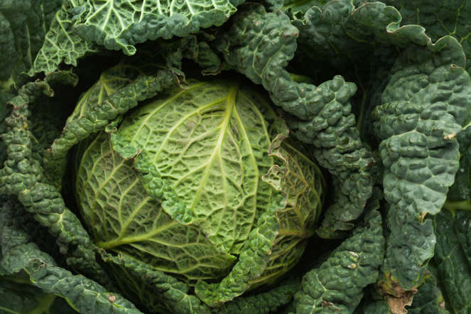 Loaded with vitamins and minerals, cabbage contains indole-3-carbinol, which reduces levels of the female hormone oestrogen, making testosterone more effective.