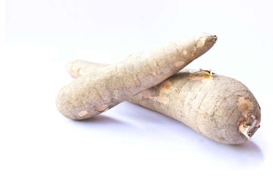 Cassava is eaten widely in Africa and South America – but must be very thoroughly cooked before being eaten. Chew it raw, and an enzyme in the tuber converts into cyanide.