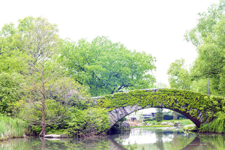 The Gapstow Bridge over The Pond in Central Park, New York, New York, USA, on a summer day