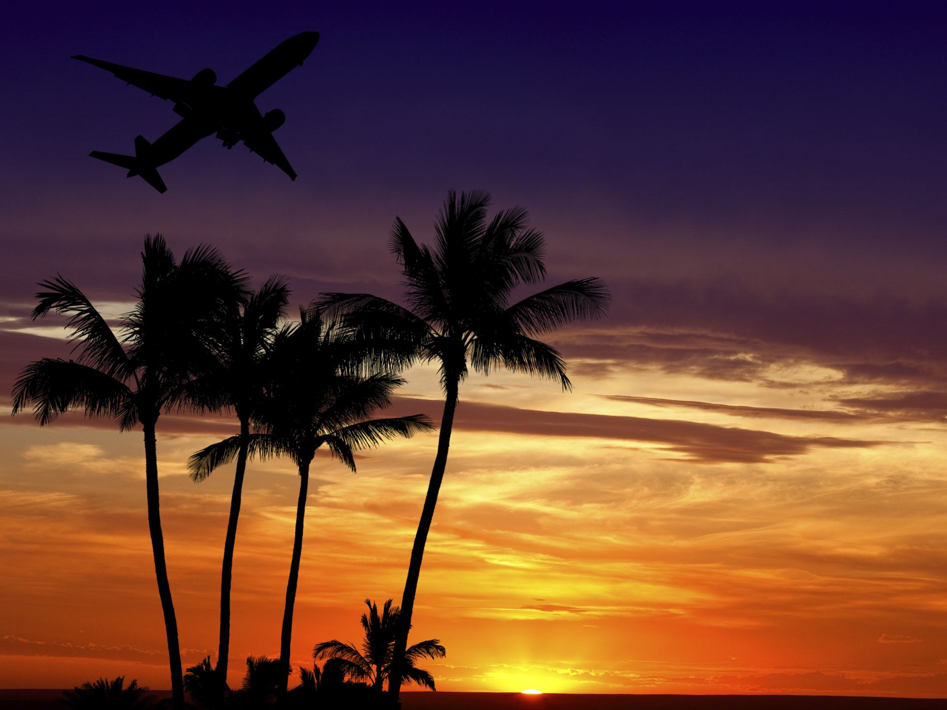 Help your aunt to book her dream vacation. She may not have the patience nor the know-how to browse through search engine sites to compare flight and hotel costs.