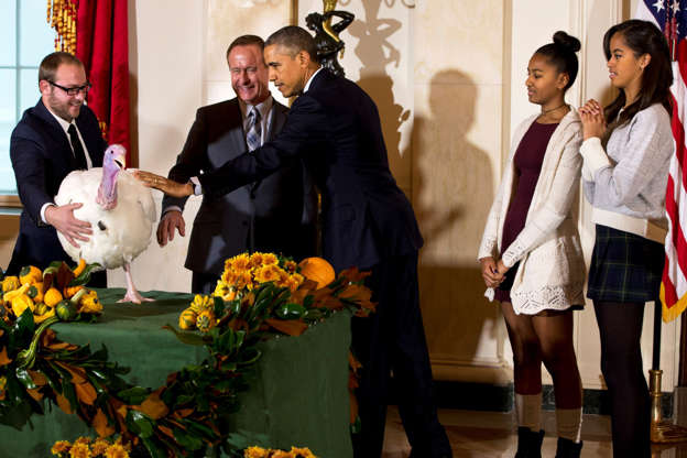 President Barack Obama, with daughters Sasha, second from right, and Malia, right, reaches out to touch "Cheese" after pardoning the turkey as part of the annual Thanksgiving tradition, Nov. 26, 2014, at the White House in Washington.