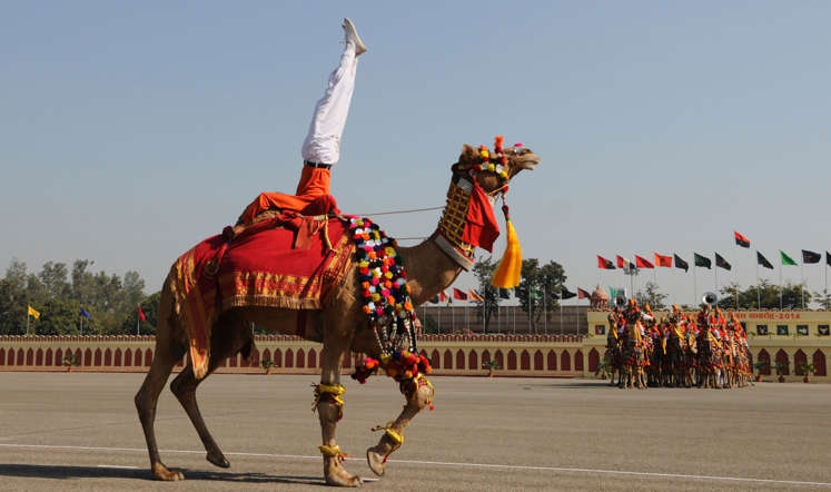 A BSF (Border Security Force) soldier perform acrobatics on camel back during the 49th Raising day of Indian defense outfit at Chawala Camp on December 1st, 2014 in New Delhi, India. The force was raised on December 1, in 1965.