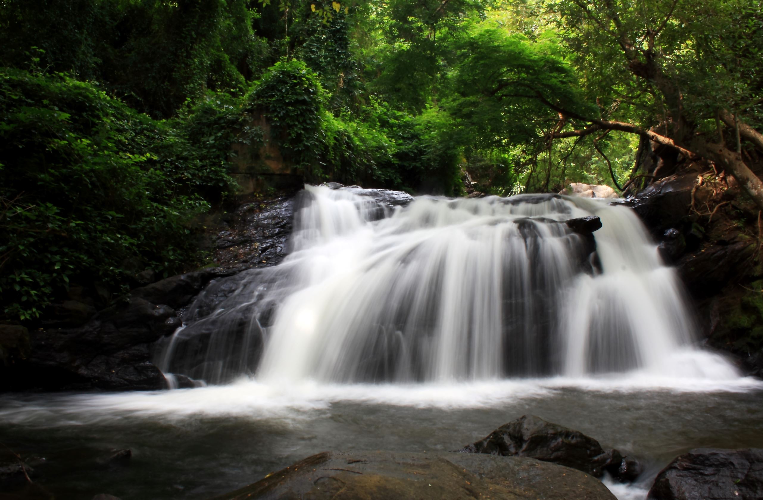 flow: India's amazing waterfalls