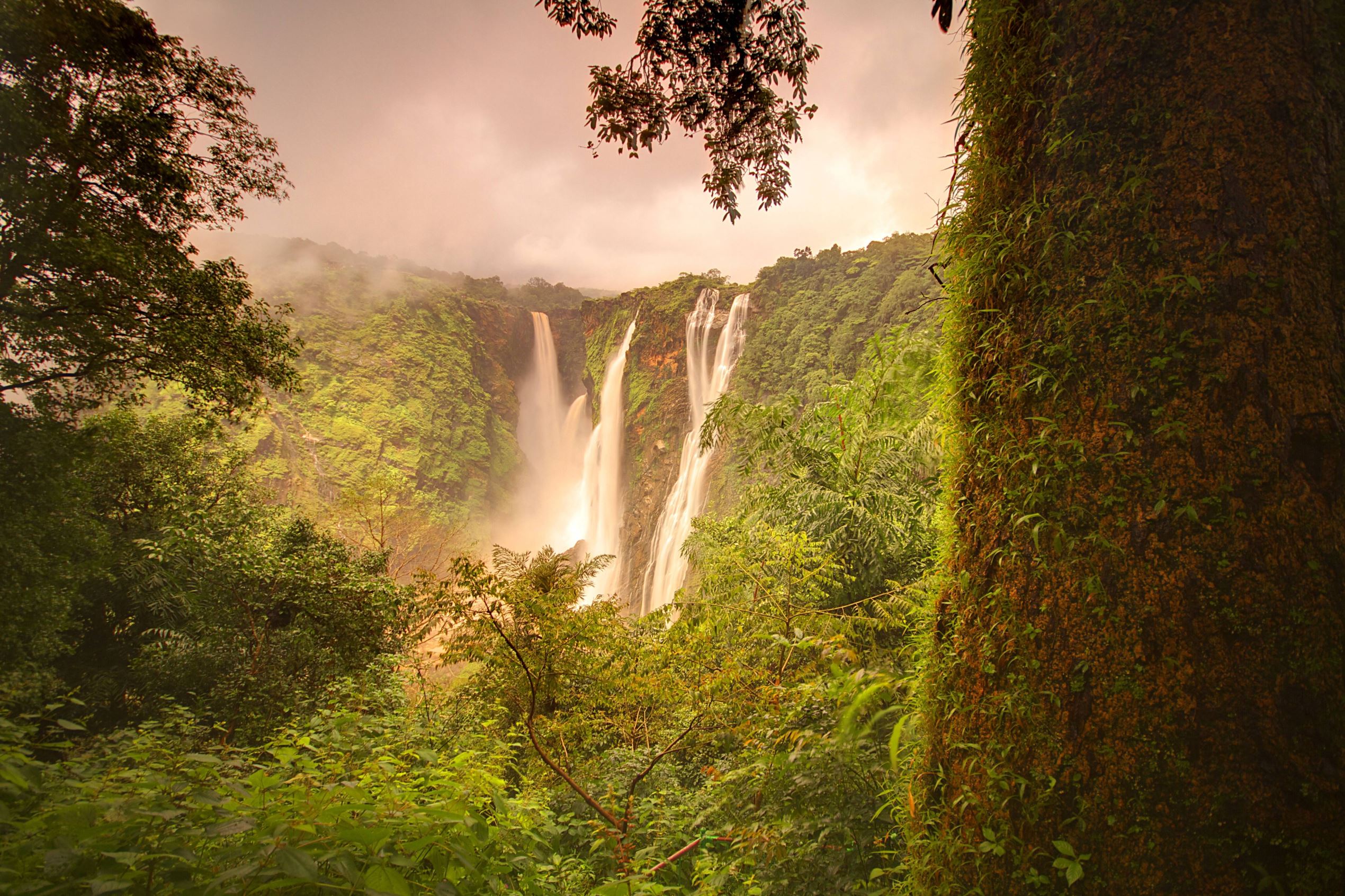 flow: India's amazing waterfalls