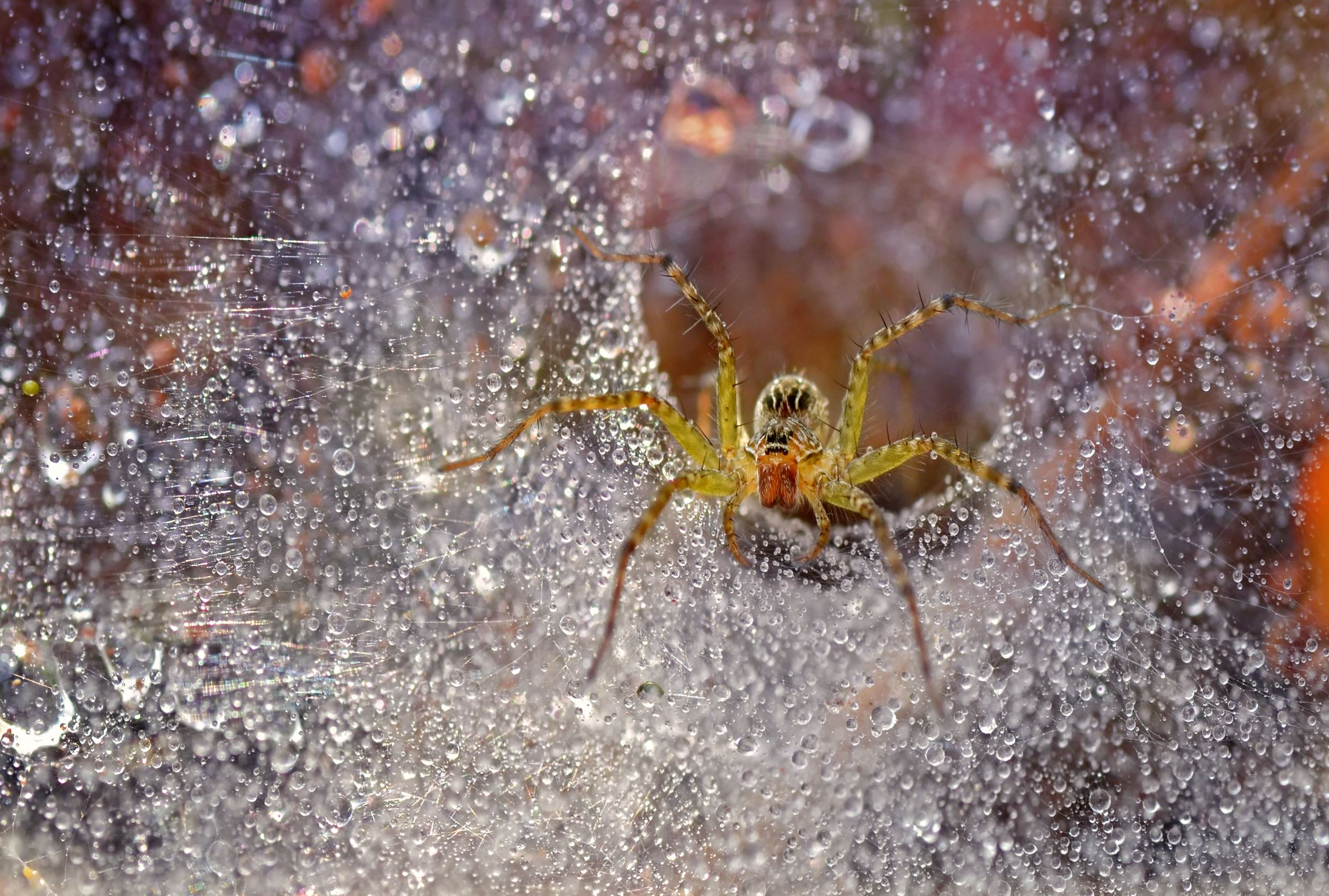 Dikky Oesin – Diamond Castle