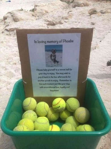A man made this offering in memory of his dog Phoebe.