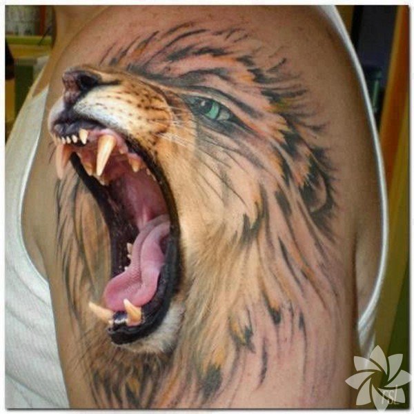 BBiujbnimg?h768&ampw1366&ampm6&ampq60&ampof&amplf