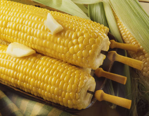 Corn on the cob