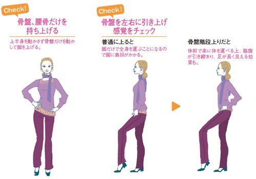階段の上り下りでやせる 骨盤階段上り