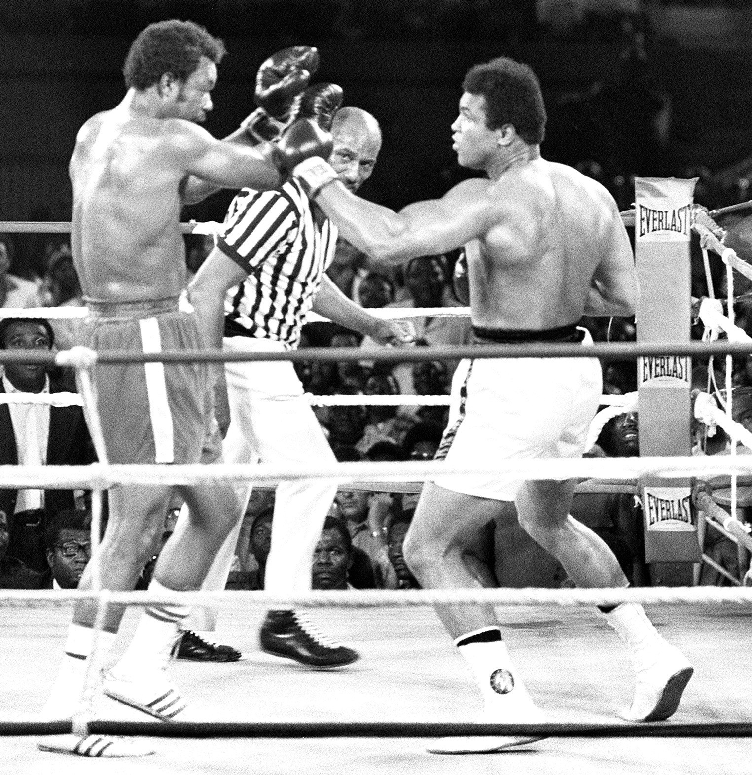 Plus Grand Boxeur De Tous Les Temps