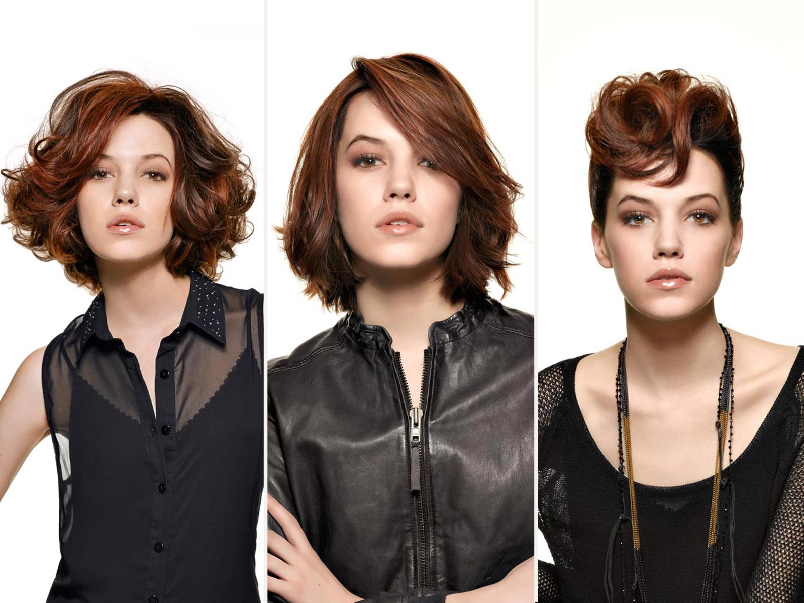 Ein Haarschnitt Viele Frisuren