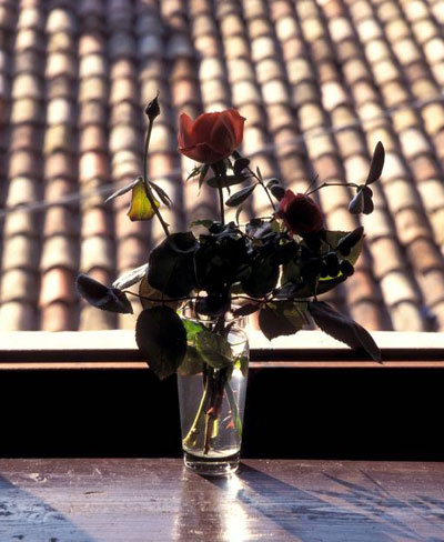 Magisch Verfuhren Liebeszauber Zum Selbermachen