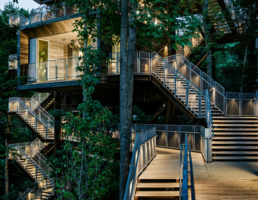 New treehouse design offers eco-friendly living