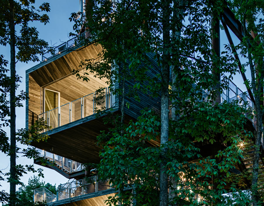 New treehouse design offers eco-friendly living