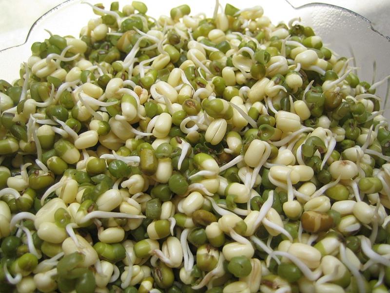 Why green gram or moong dal is good for health