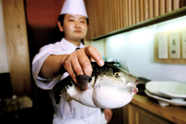 Slide 6 of 18: Pufferfish, or âfuguâ, is the worldâs most dangerous delicacy. Chefs in Japan go through several years of training to learn how to remove the toxic parts of the fish, which are 1,200 times more poisonous than cyanide. Eating just a tiny amount (a pin head) of the wrong bit can be lethal.