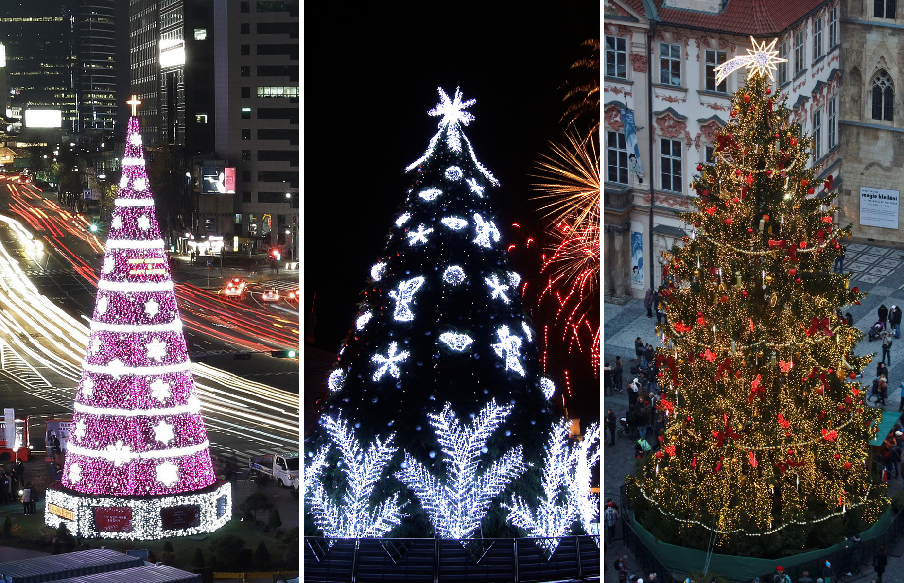 The world's best Christmas trees