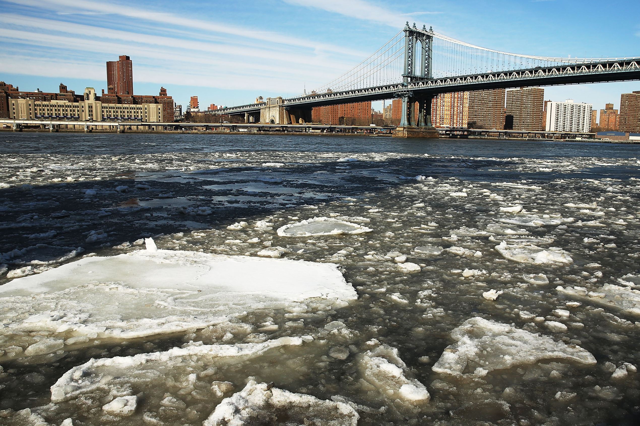 Diapositiva 3 de 20: Arctic