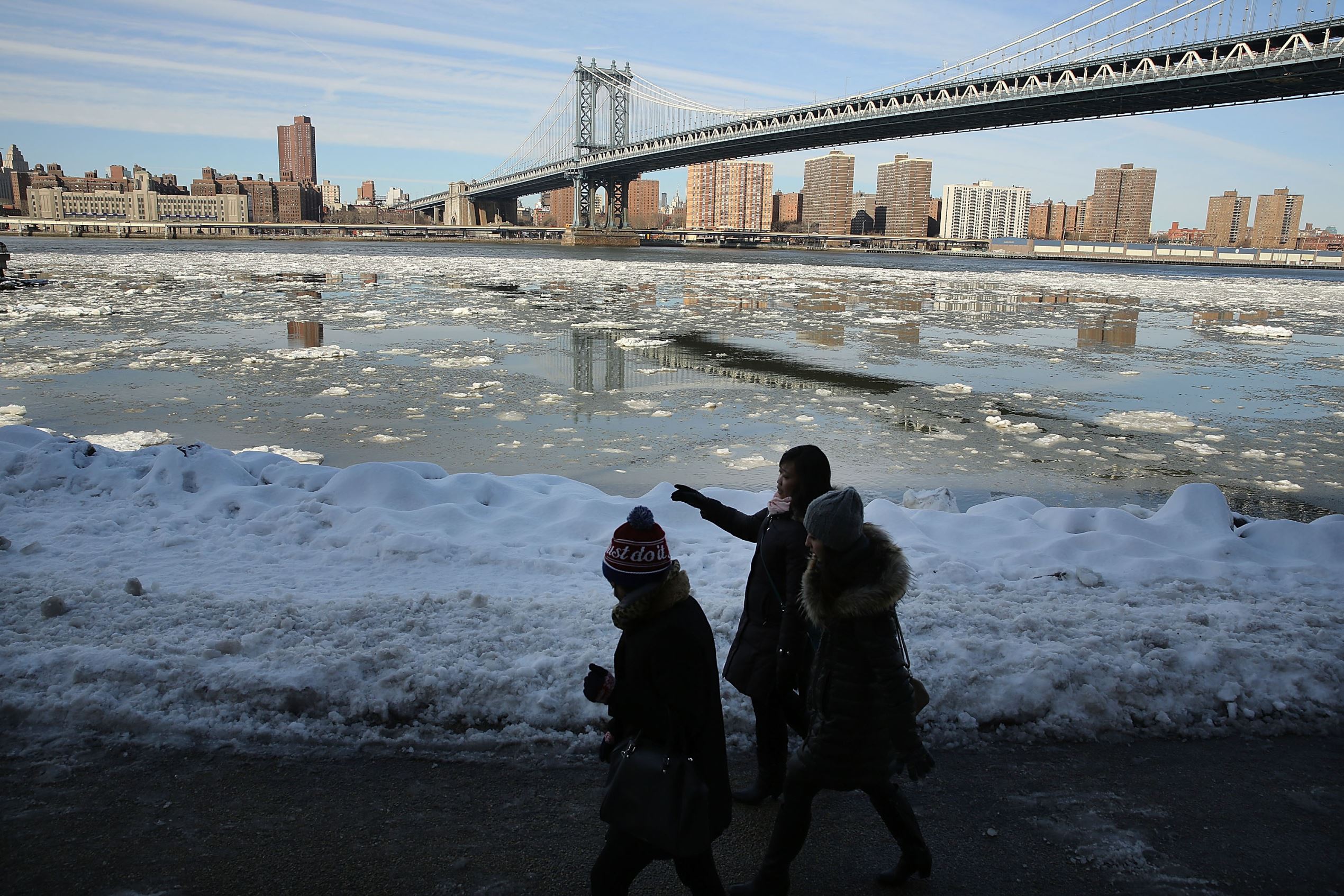 Diapositiva 4 de 20: Arctic