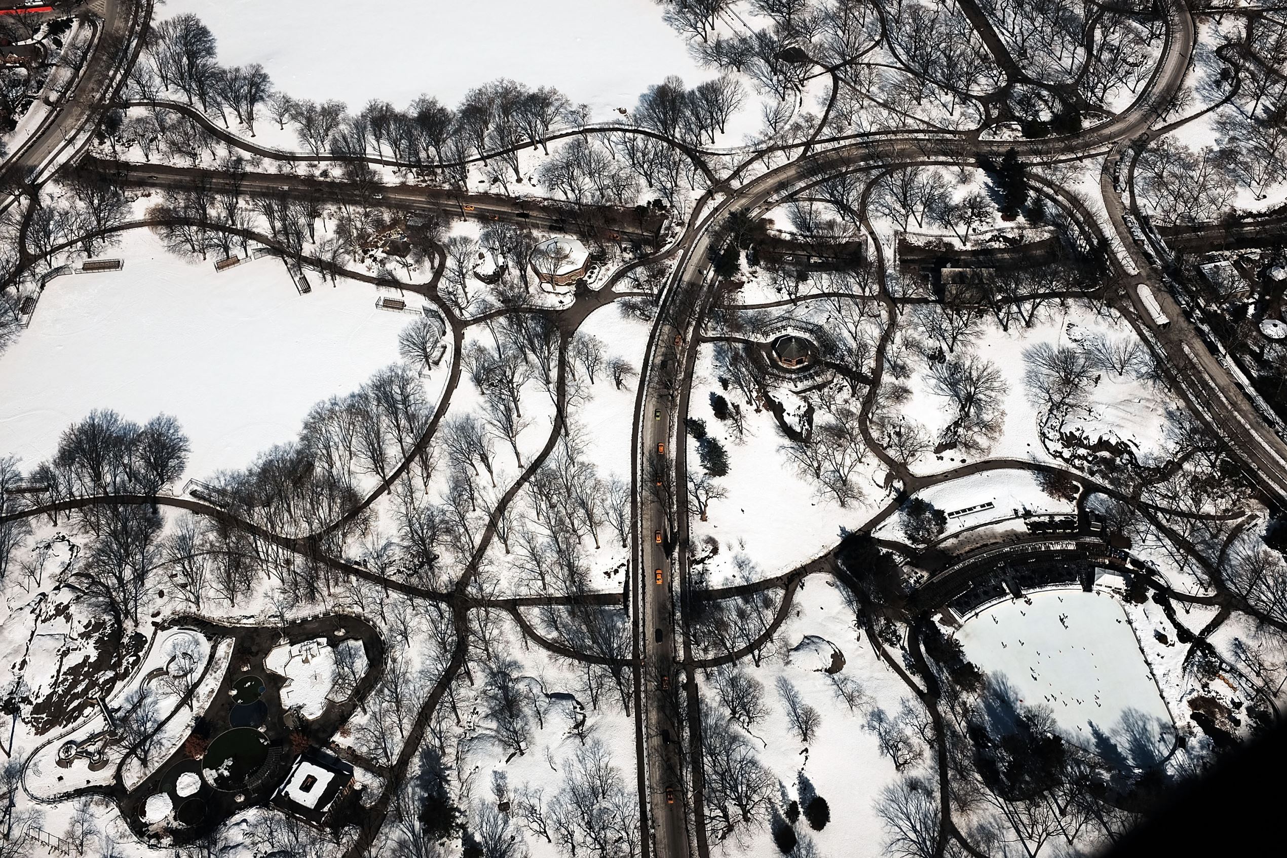 Diapositiva 18 de 20: Arctic