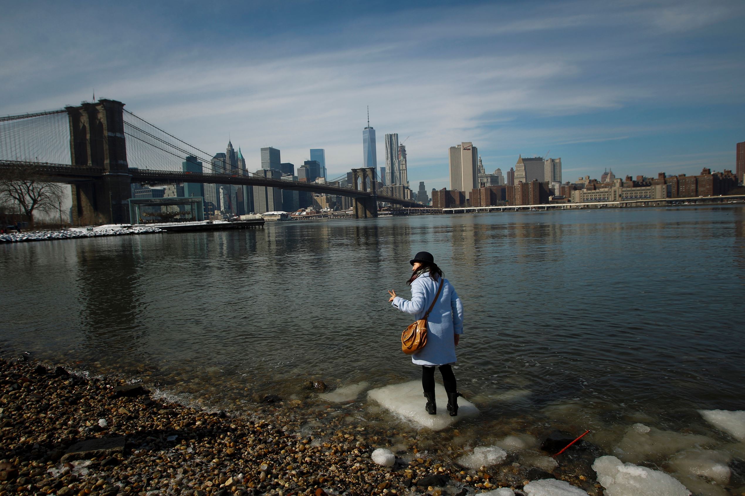 Diapositiva 16 de 20: Arctic