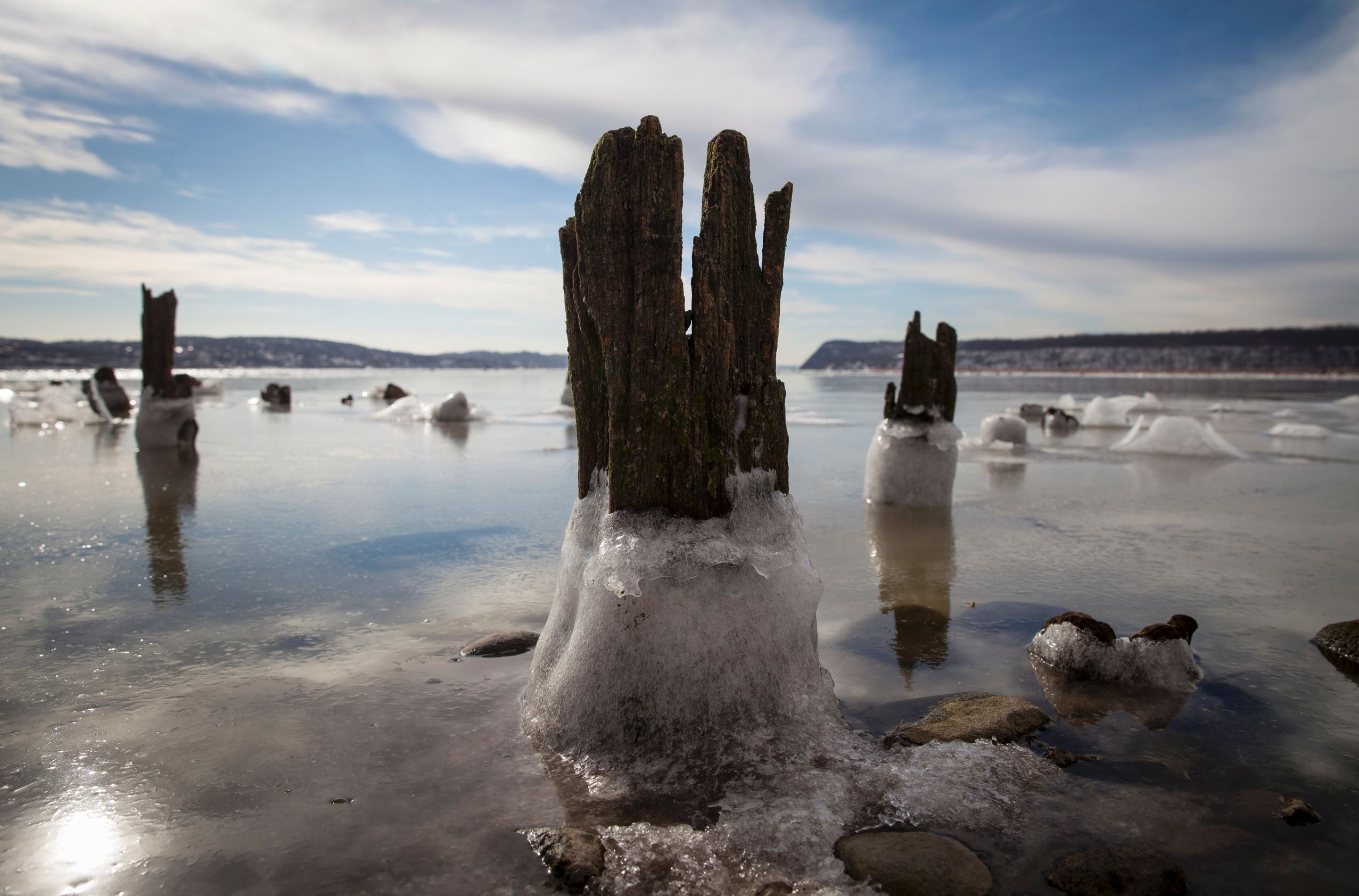 Diapositiva 20 de 20: Arctic