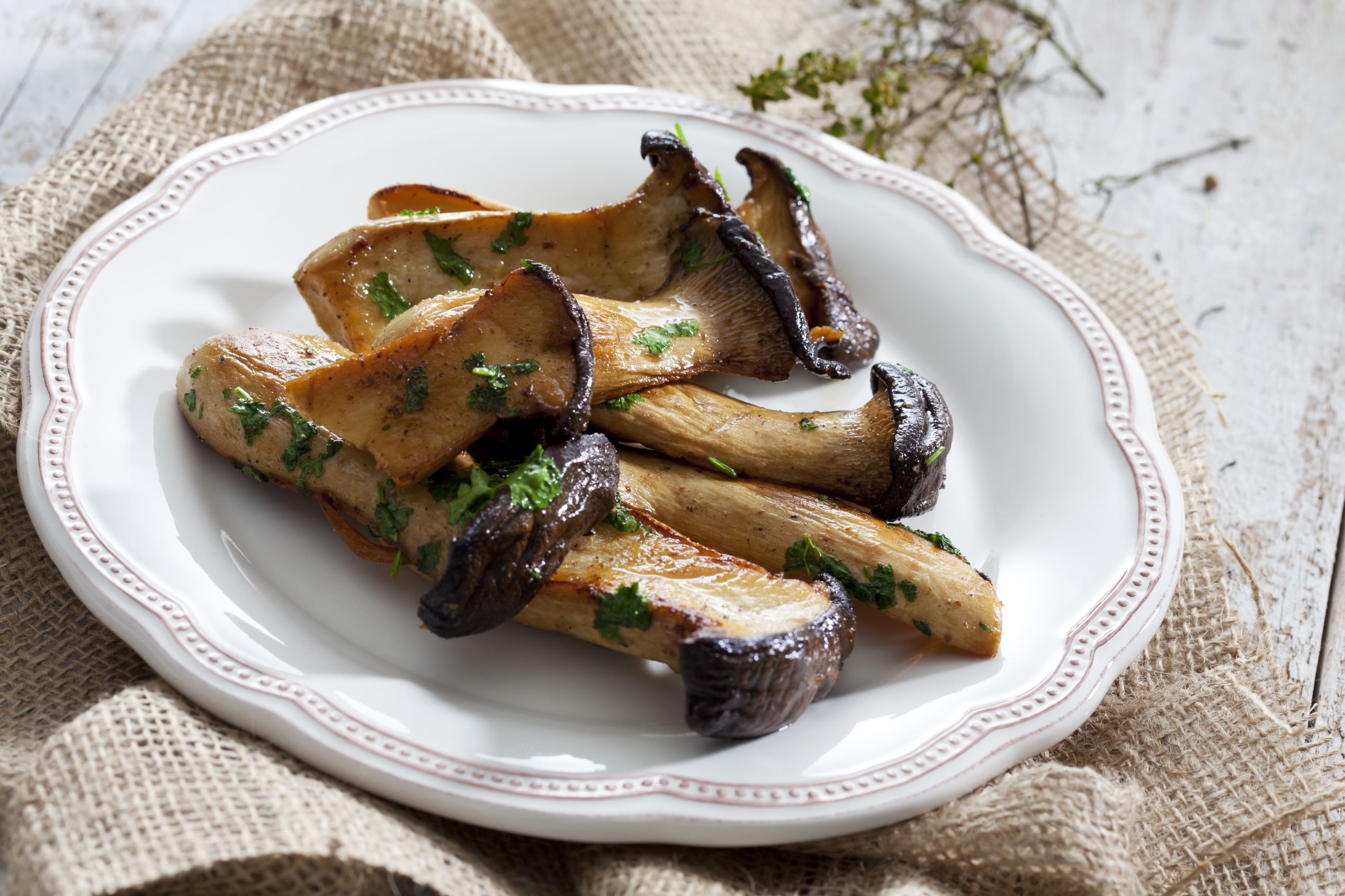 Slide 14 de 18: Mushrooms