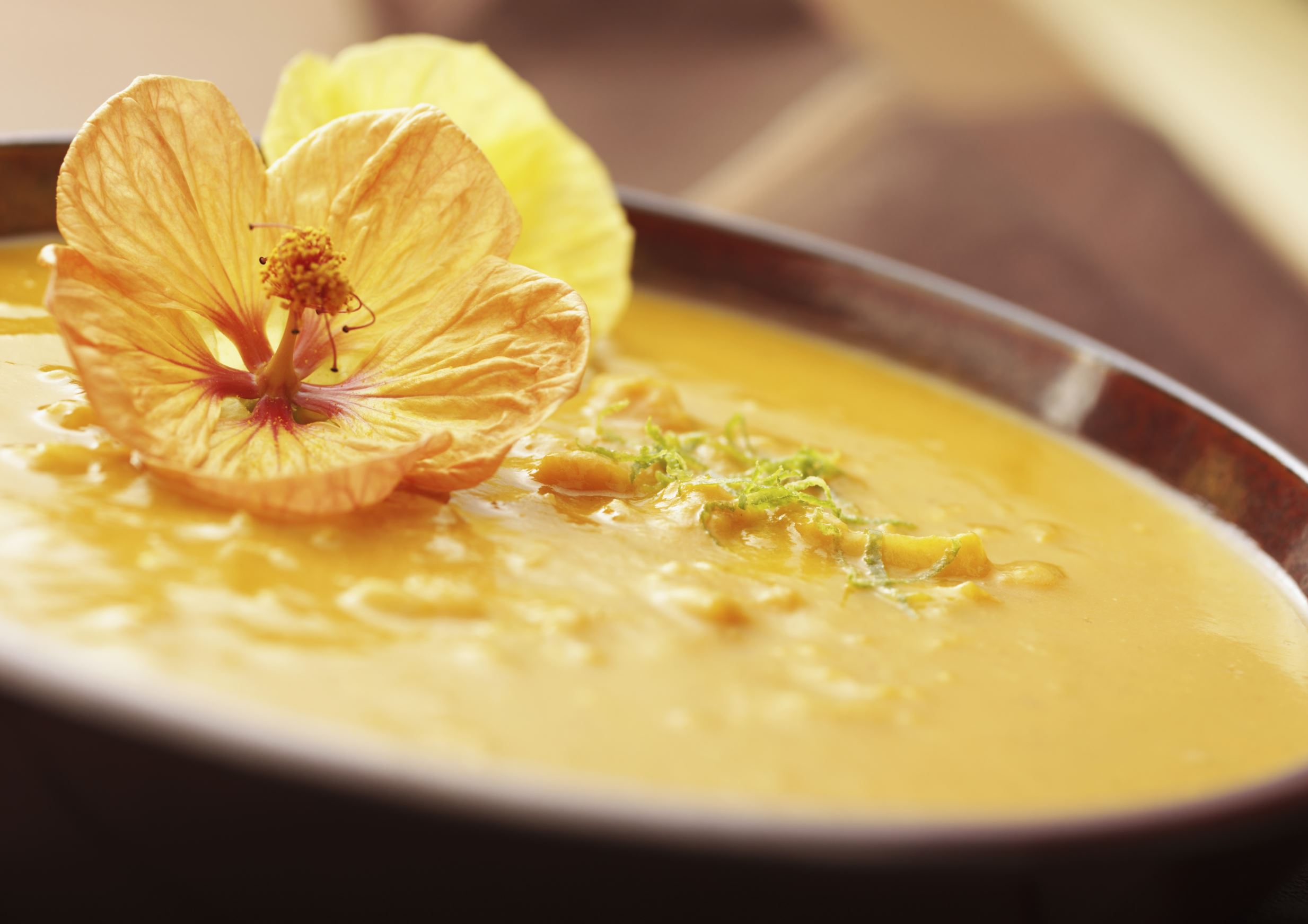 Slide 13 de 18: Butternut Squash Soup
